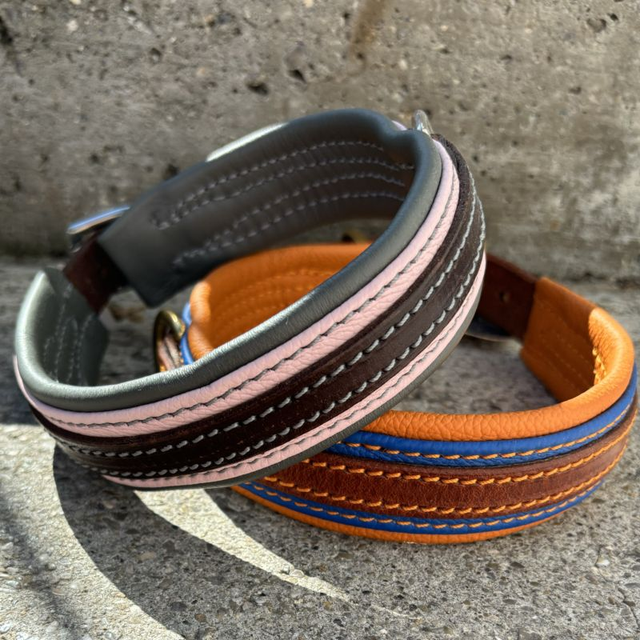 Hundehalsband mit Handbegleitnaht und farbigem Keder