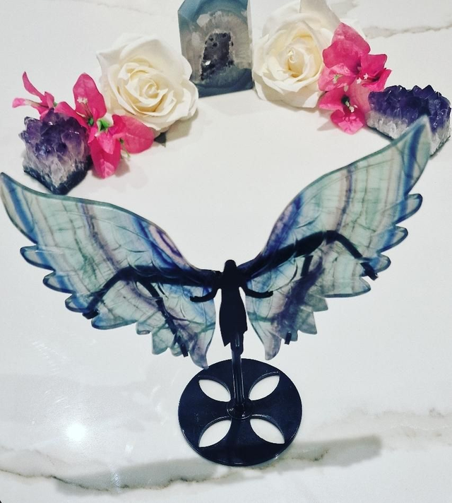 Angel Wings On Stand : Rainbow Fluorite