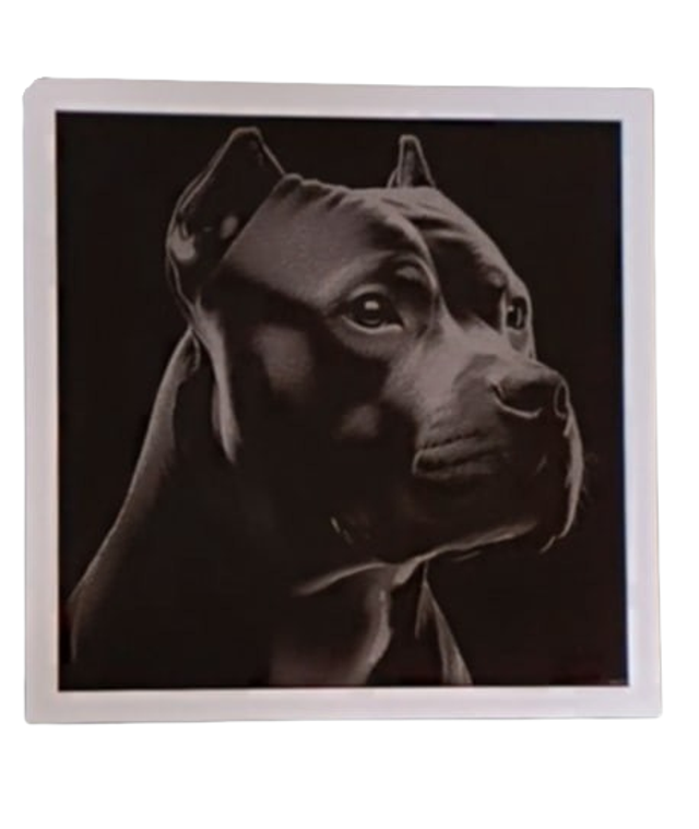 Cadre chien Staff