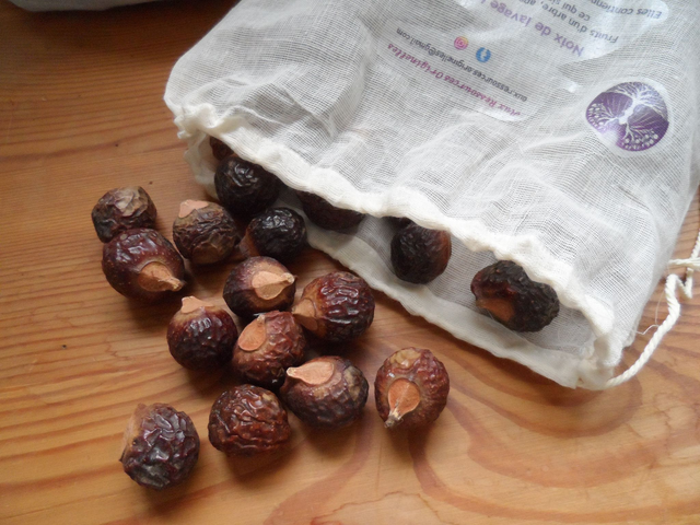 Noix de lavage indiennes