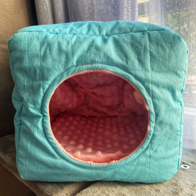 Dodo cabane rongeurs 