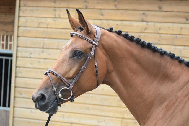 Bridon JUMP'IN One London