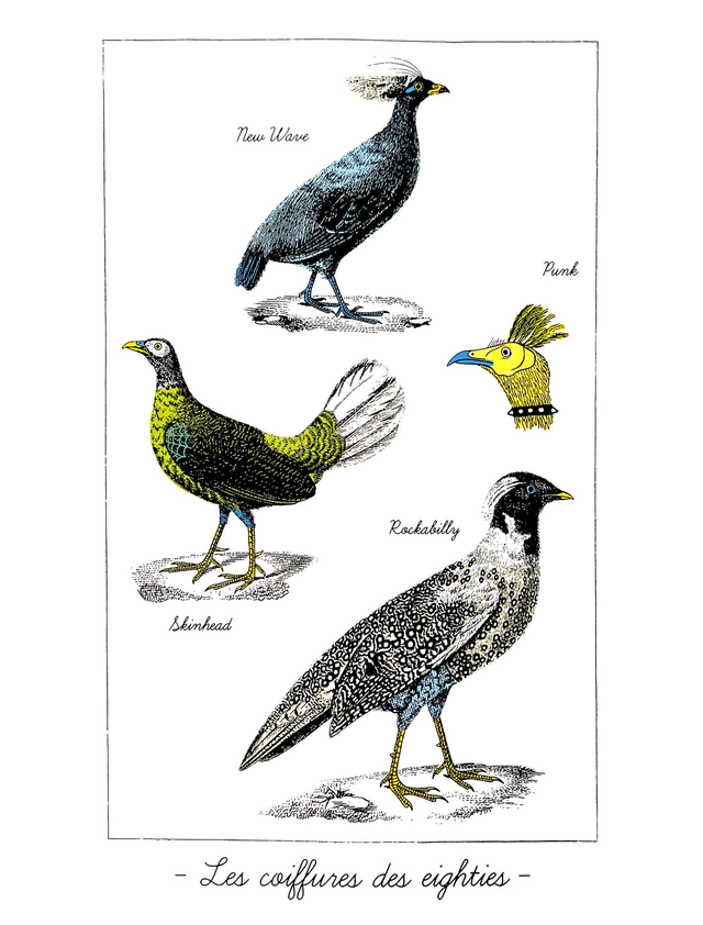 David Pujol - Les coiffures des eighties - F2861