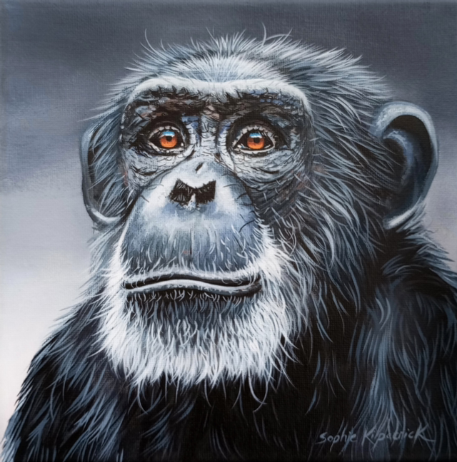 ‘Mr Wise Eyes’ Original Painting