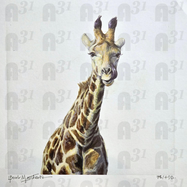 573 giraffe
