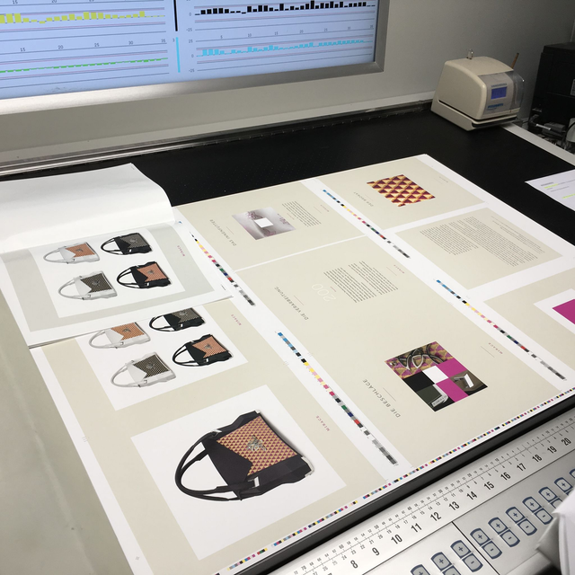 MIRACE - eine besondere Geschichte - Broschüre