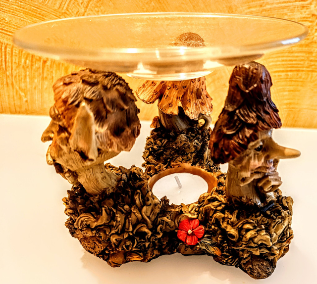 Brule Parfum Champignons