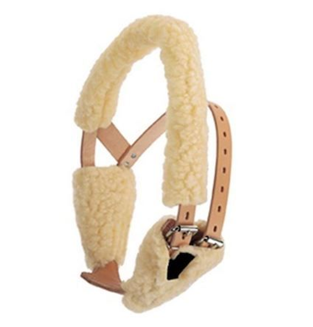 Set de protection mouton WEAVER pour collier Miracle Collar