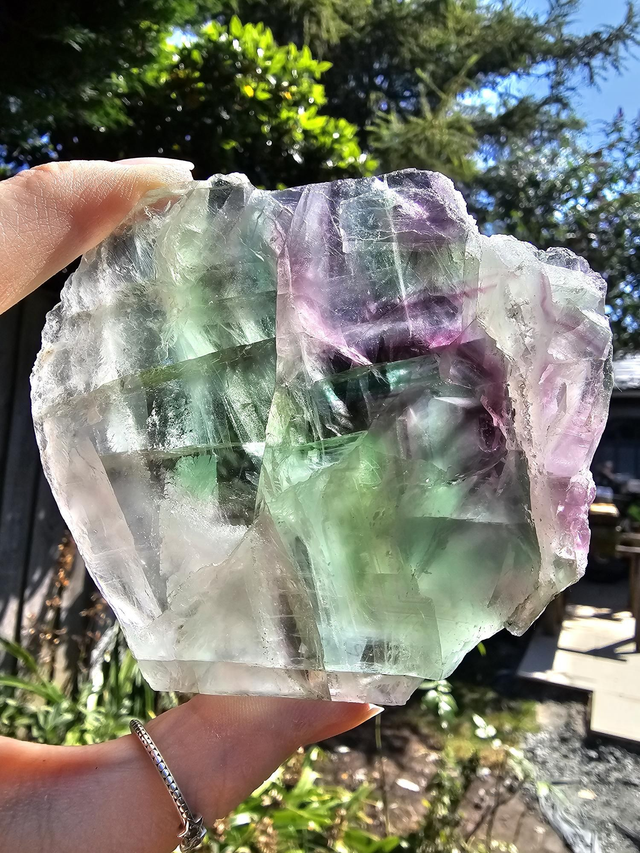 Rainbow Fluorite rough slab.