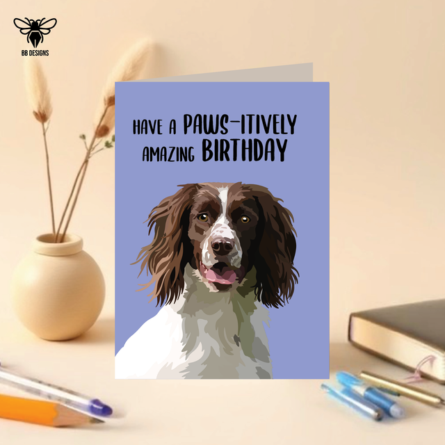 Springer Spaniel - Birthday Card