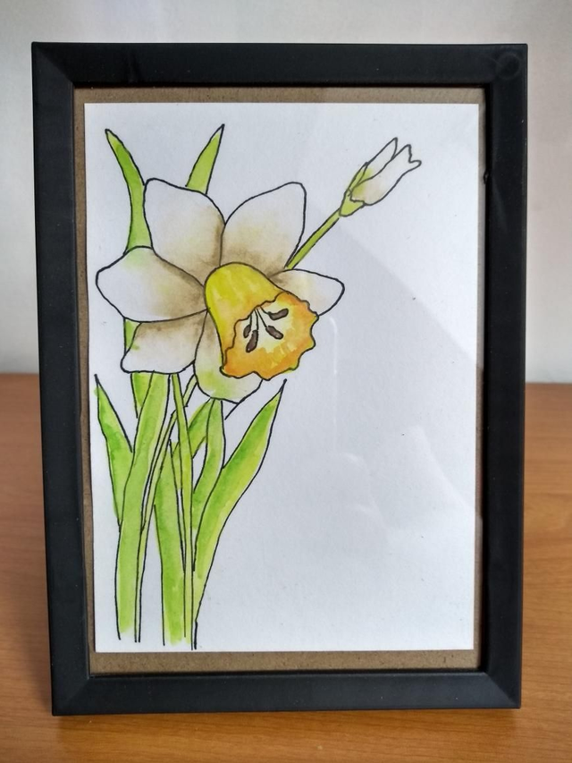 Aquarelle originale jonquille 