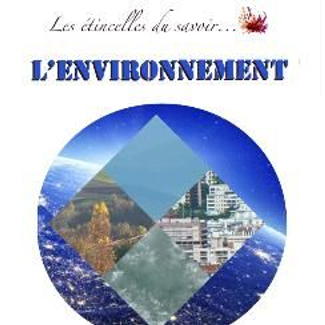 Étincelles : environnement