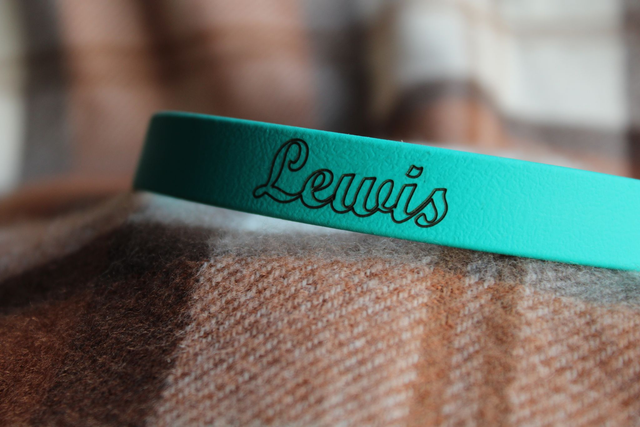 Gravure colliers/laisses