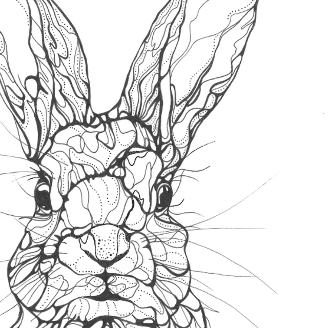 B&W A3 print - rabbit