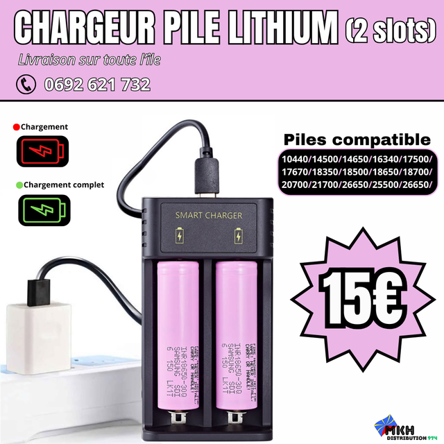 CHARGEUR PILE LITHIUM (2 slots)