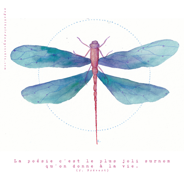 Carte postale libellule - La poésie c’est le plus joli surnom qu’on donne à la vie. 