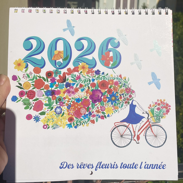 Calendrier murale 2026 20X20
