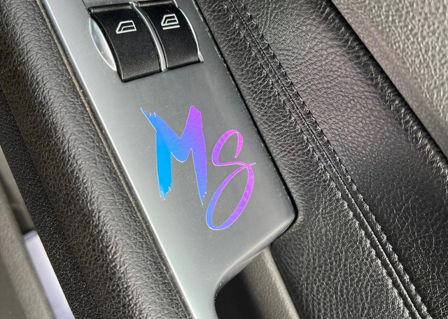 Petit logo MS
