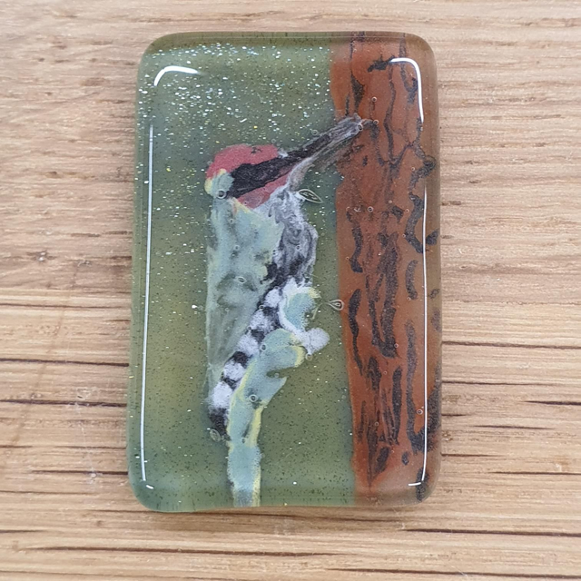 Green woodpecker glass enamel badge 
