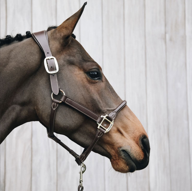 Kentucky Horsewear Anatomic Leather Headcollar