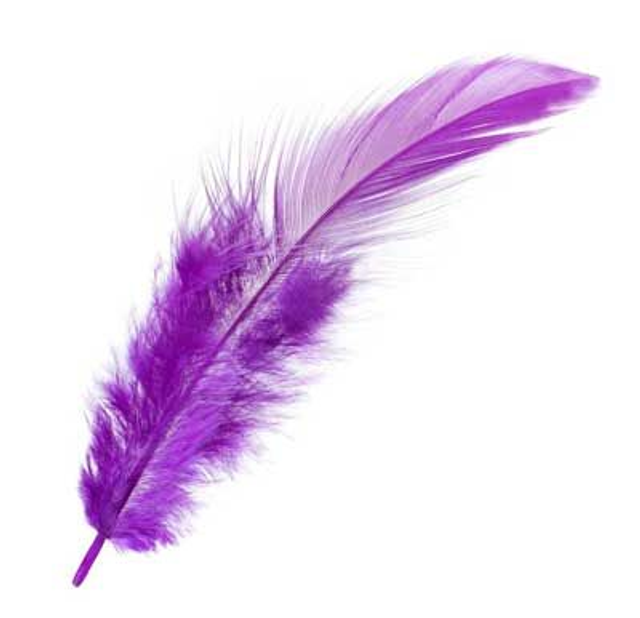 Collier grande Plume