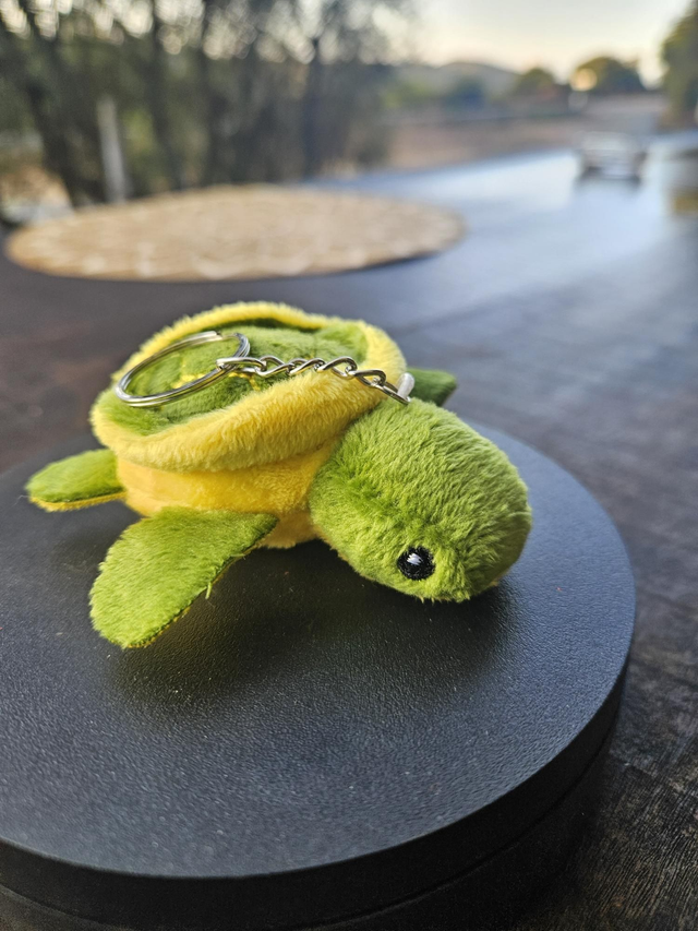 Porte clefs turtle 