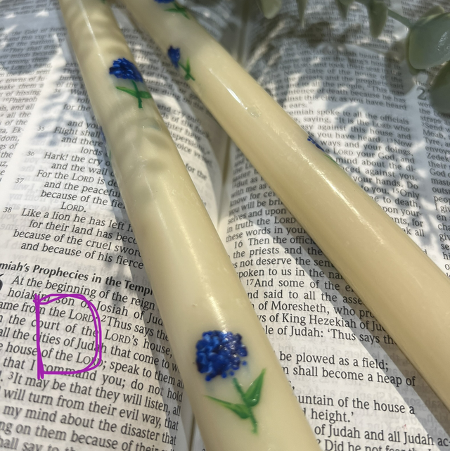 Hand painted autumn collection