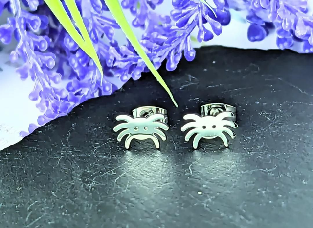 Stainless Steel Spider Stud Earrings 