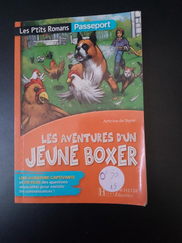 Les aventures d'un jeune boxer, Antoine de Nysse