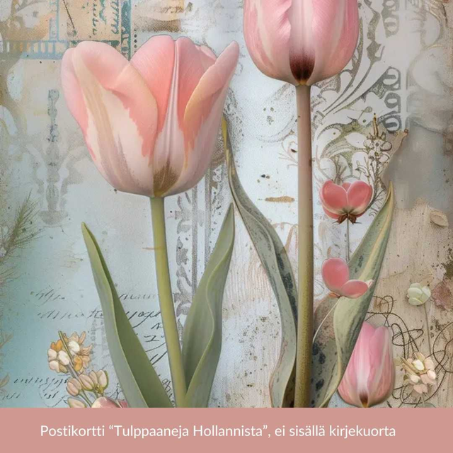 Postikortti Tulppaaneja Hollannista
