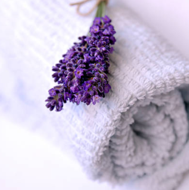 Lessive Liquide - Lavande Bio - 5,50€/kg