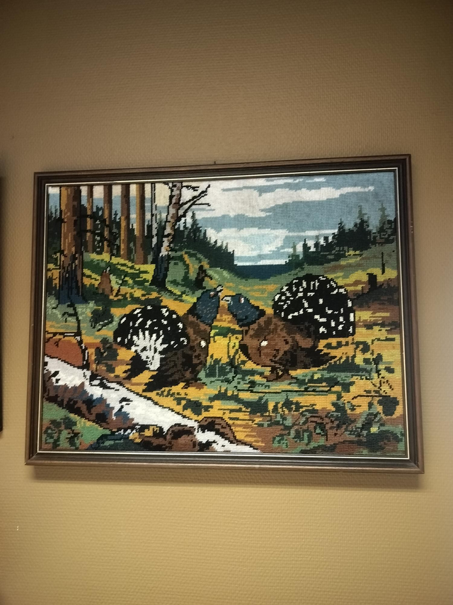 Ristipistotaulu #255