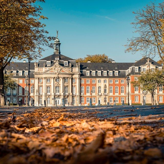 Herbstlaub vor dem Schloss