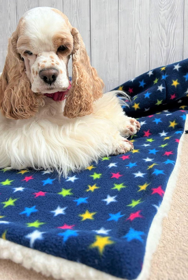 Small Pet Blanket, Dog Blanket, Cat Blanket - can be personalised