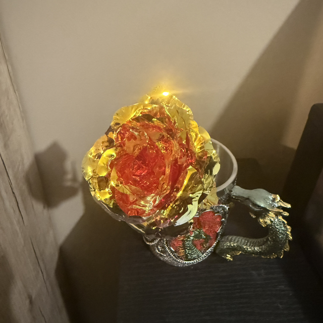 Rose éternelle irisée rouge/jaune