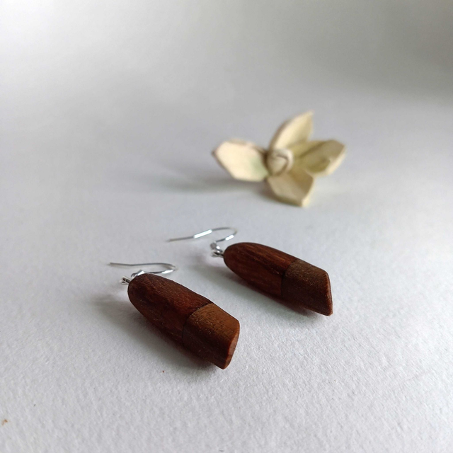 Boucles d'oreilles bicolores