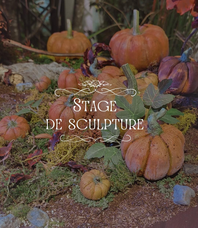 Stage de sculpture - Citrouille Fantastique - (Sam 24 aout - Arras)