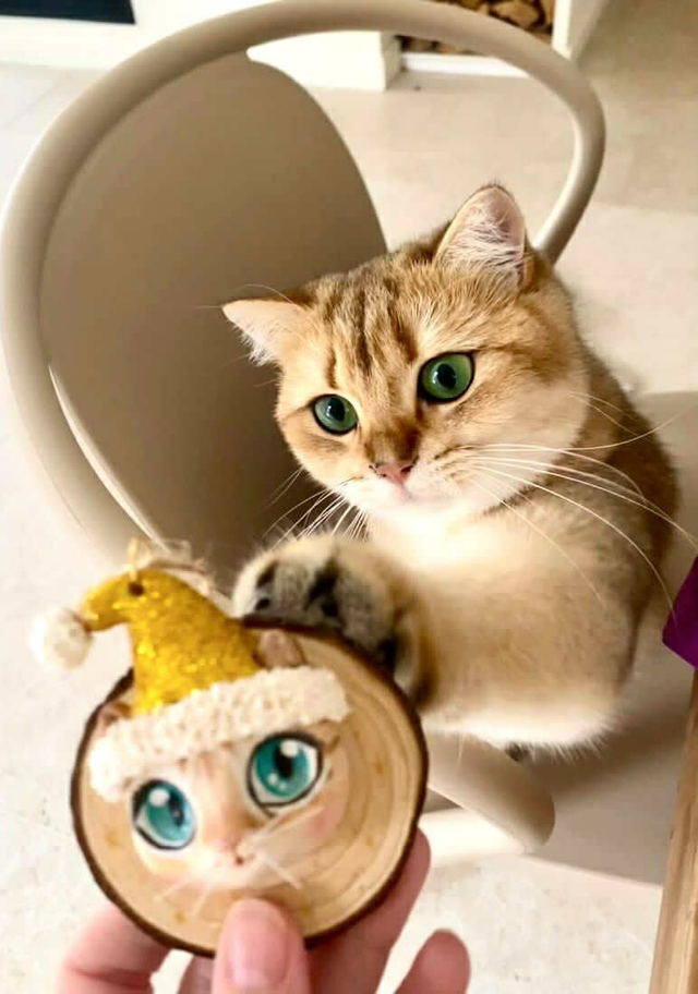 Noël Portrait de mon animal