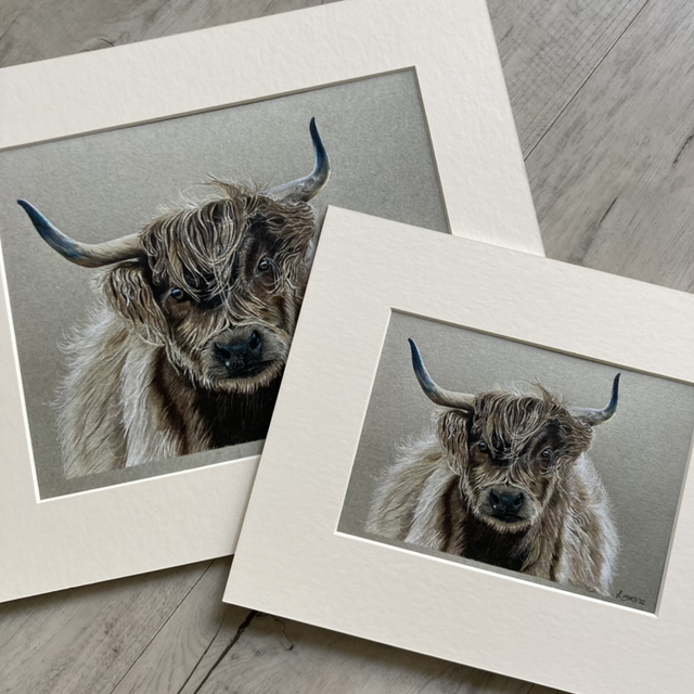 Highland Cow Fine Art Print