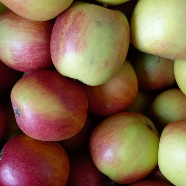 Apfel Braeburn 10 Kilo