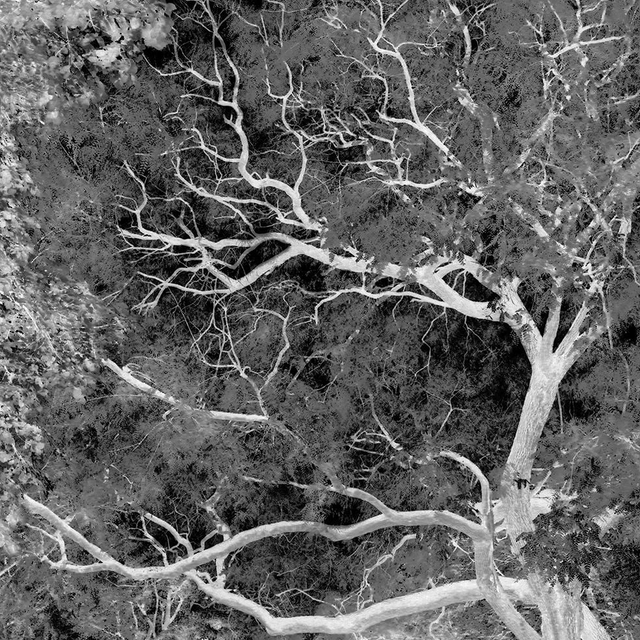 La cour des grands 3