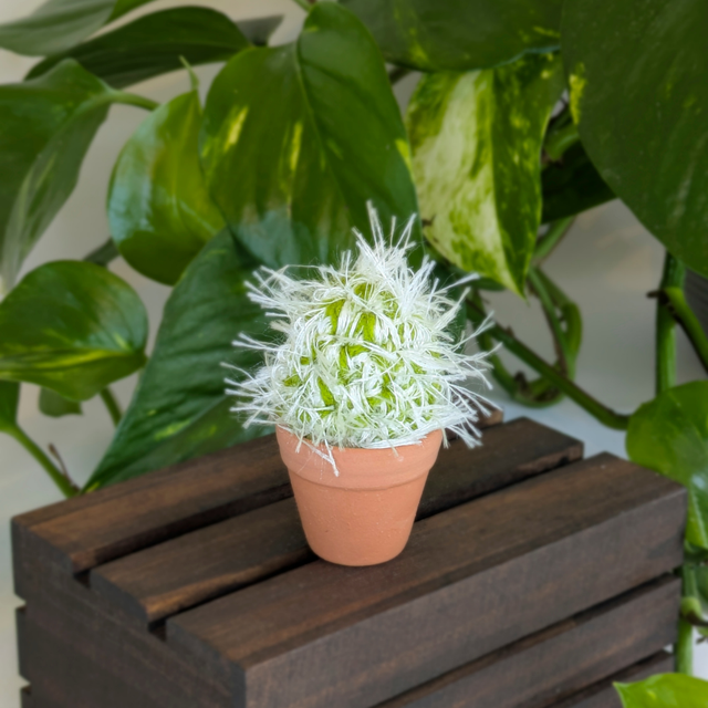 Mini Spiky Crochet Cactus