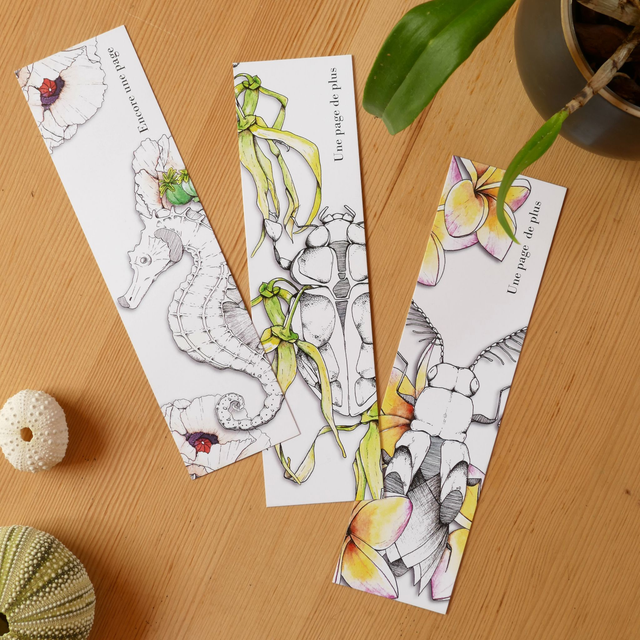 Bundle MARQUE PAGE – Frangipanier