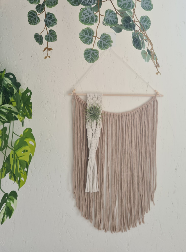 Air plant macrame wall hanging