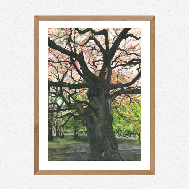 Calderstones Tree Print