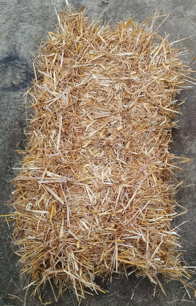 Paille naturelle – Bottes