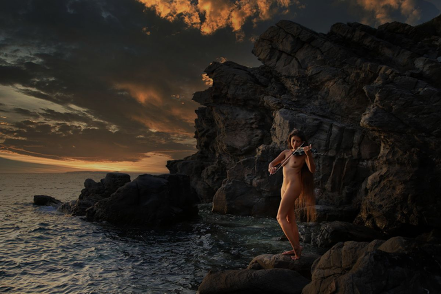 "Violinen – Solo" (1/5)