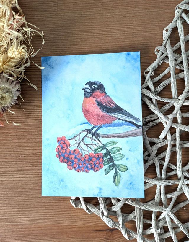 Carte Postale A6 – Bouvreuil Pivoine d’Hiver (Aquarelle)