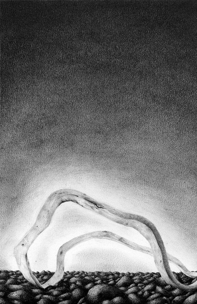 Carbon-149, rampant n°1