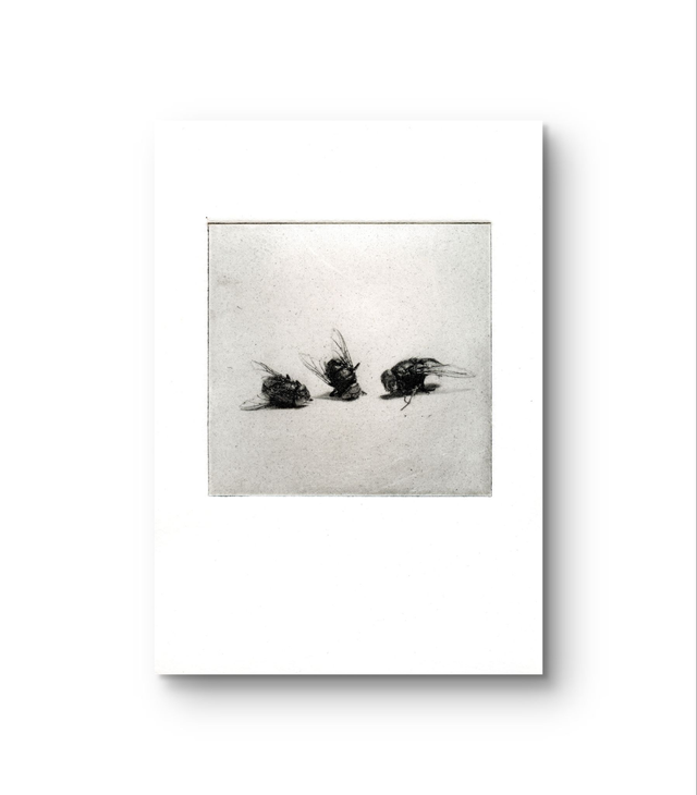 Flies "Three of a kind "  handprint photogravure A6  